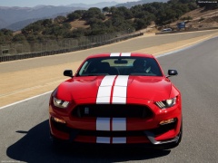 Mustang Shelby GT350 photo #149155