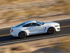 Mustang Shelby GT350 photo #149162