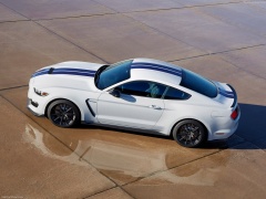 Mustang Shelby GT350 photo #149163