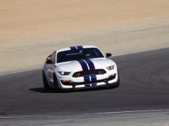 Mustang Shelby GT350 photo #149164
