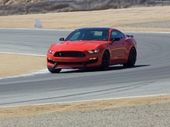 Mustang Shelby GT350 photo #149166