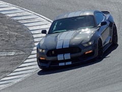 Mustang Shelby GT350 photo #149167
