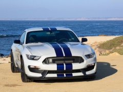Mustang Shelby GT350 photo #149168