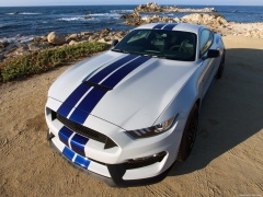 Mustang Shelby GT350 photo #149169