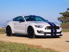 Mustang Shelby GT350 photo #149170