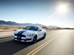 Mustang Shelby GT350 photo #149171