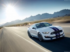 Mustang Shelby GT350 photo #149172