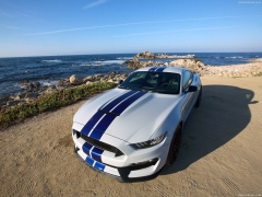 Mustang Shelby GT350 photo #149173