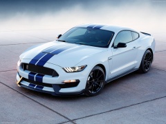 Mustang Shelby GT350 photo #149177