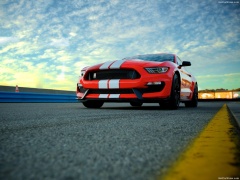 Mustang Shelby GT350 photo #149179