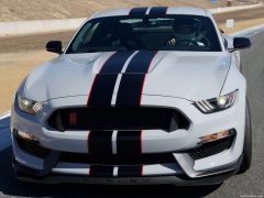 Mustang Shelby GT350R photo #149183