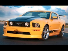 ford mustang pic #17385