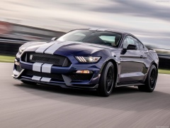 Mustang Shelby GT350 photo #188969