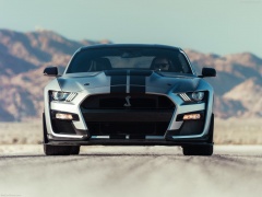 ford mustang shelby gt500 pic #192972
