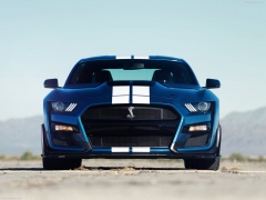 Mustang Shelby GT500 photo #192973