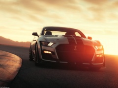 ford mustang shelby gt500 pic #192984