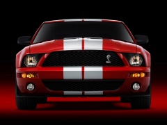 Mustang Shelby photo #30821