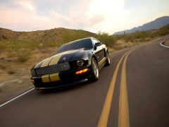 Mustang Shelby photo #33581