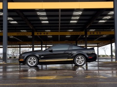 ford mustang shelby pic #33584