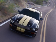 Mustang Shelby photo #33588