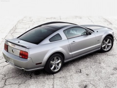 Mustang Glass Roof photo #50105