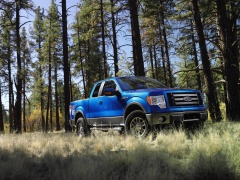 ford f-150 pic #51497