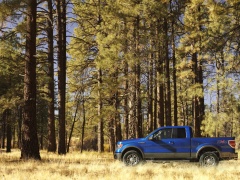 ford f-150 pic #51503