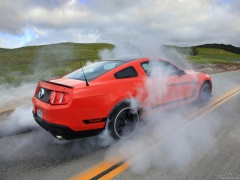 ford mustang boss 302 pic #78972
