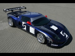 Ford GT3 photo #44872