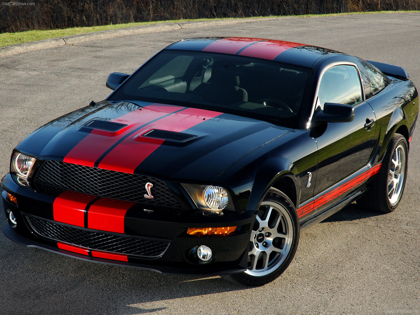 Ford Mustang Shelby Gt500 Red Stripe Photos Photogallery With 8 Pics